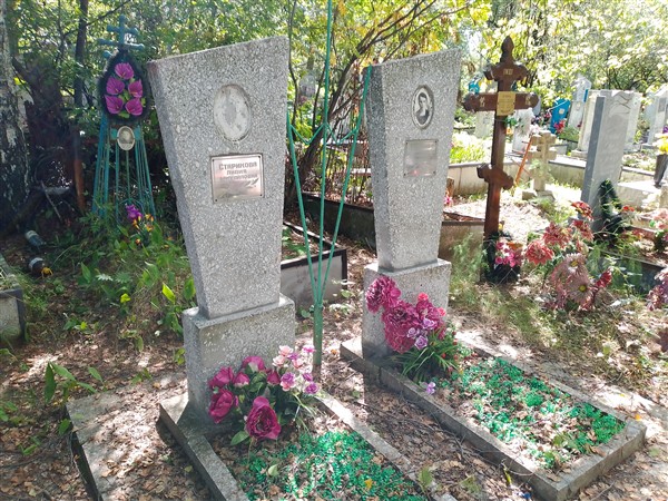 Мотырева Екатерина Николаевна