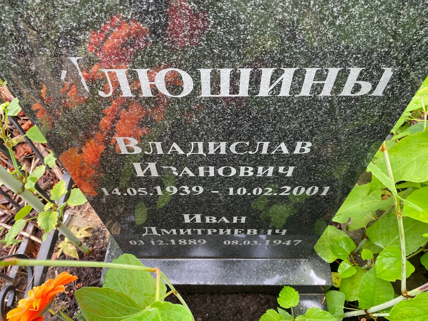 Алюшин Владислав Иванович