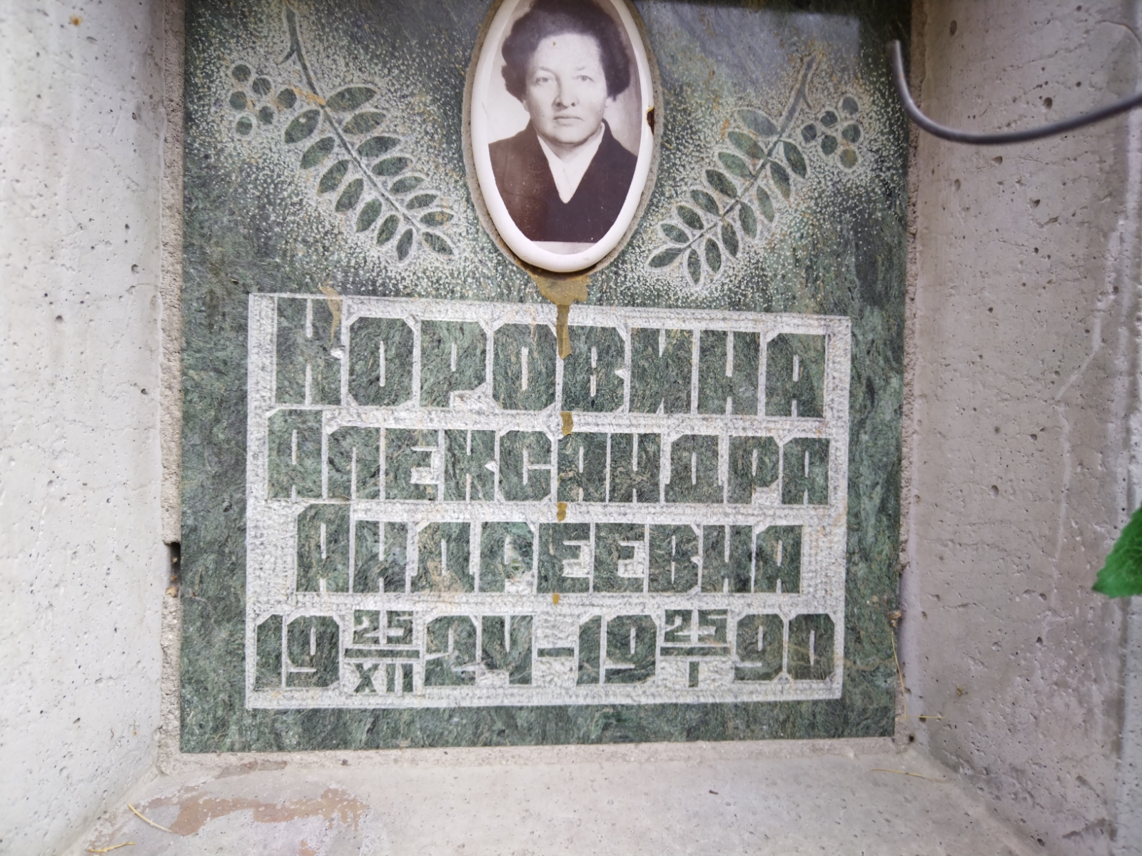 Коровина Александра Андреевна