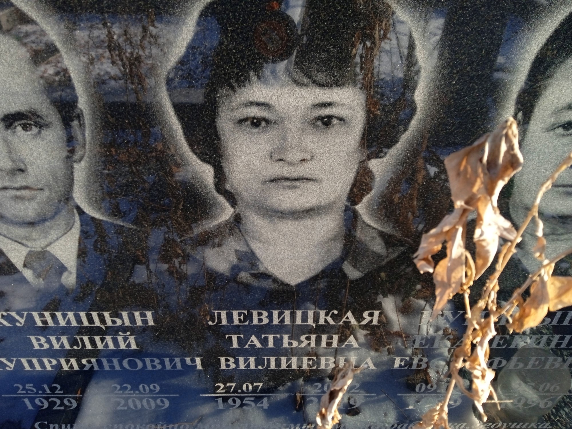 Левицкая Татьяна Вилиевна