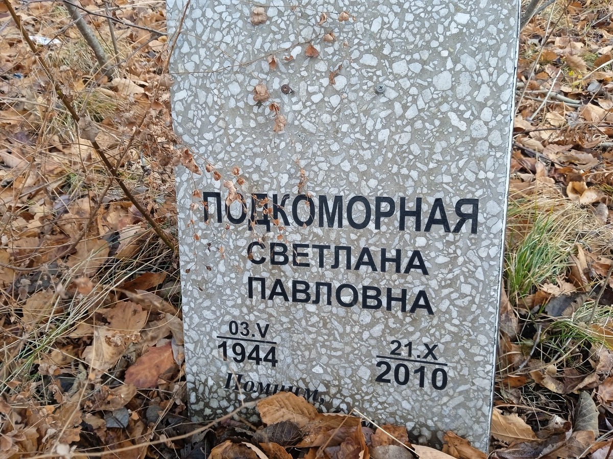Подкоморная Светлана Павловна