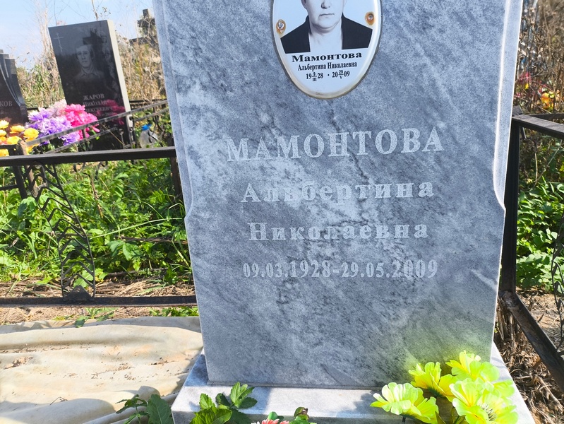Альбертина Мамонтова Николаевна