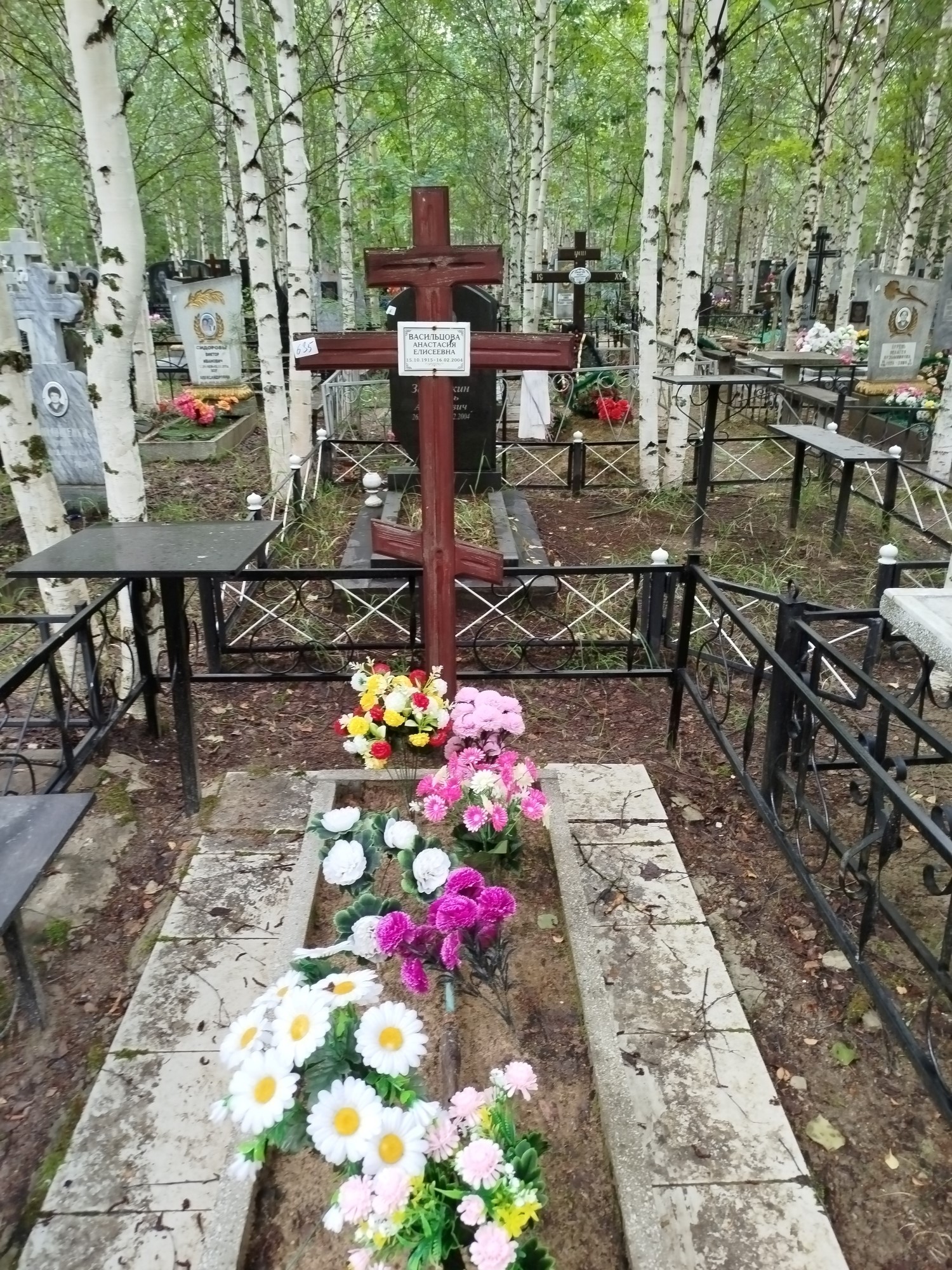 Васильцова Анастасия Елисеевна