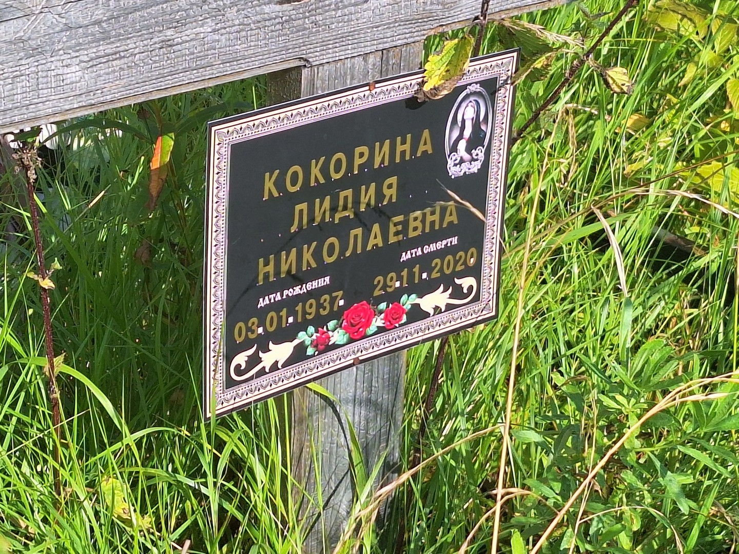 Кокорина