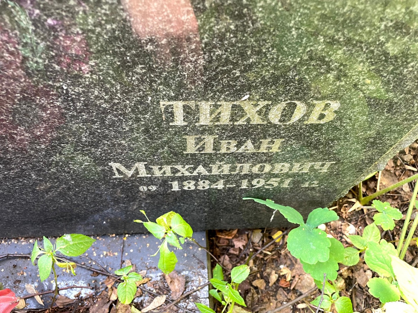 Тихов