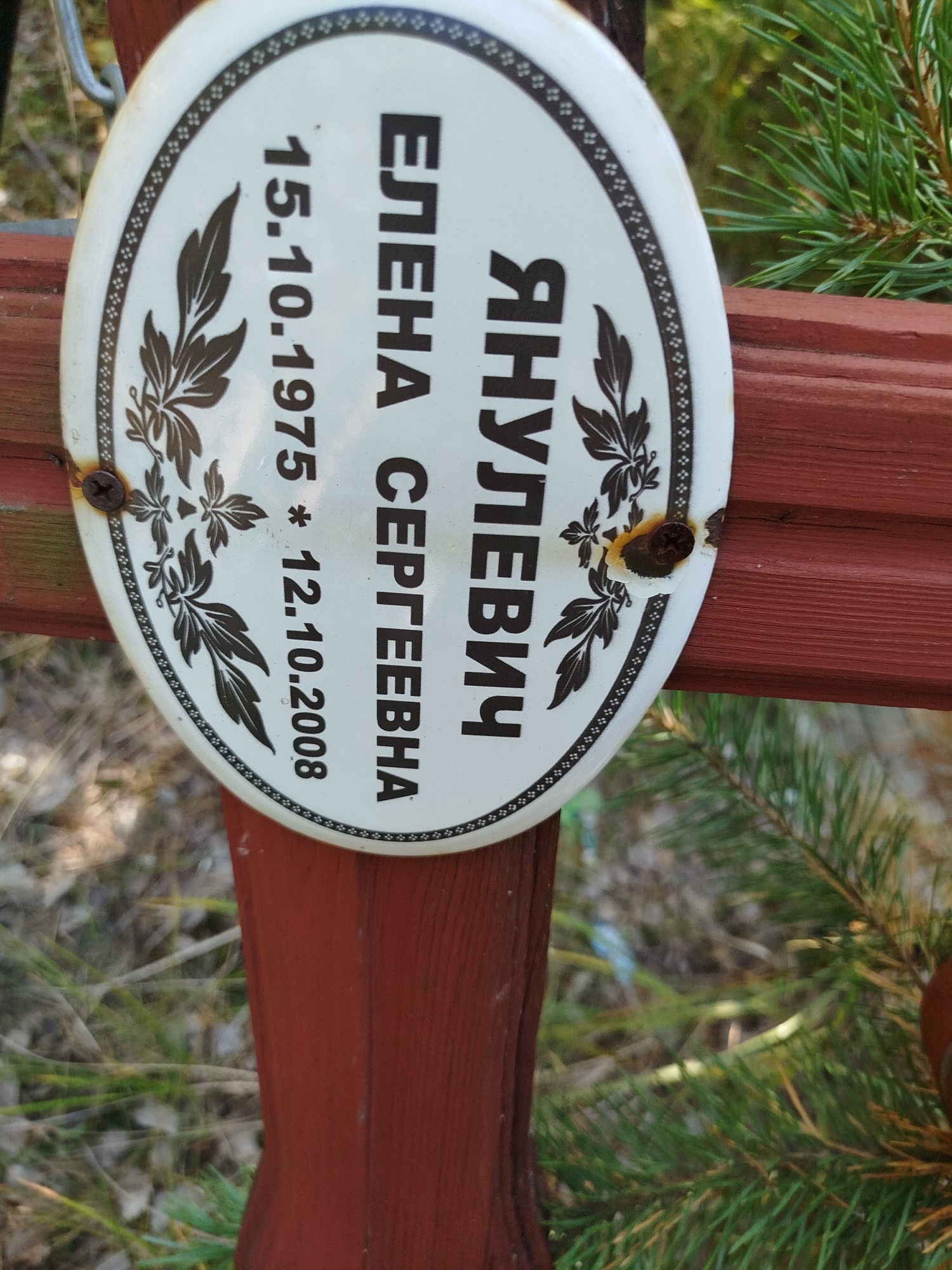 Янулевич Елена Сергеевна
