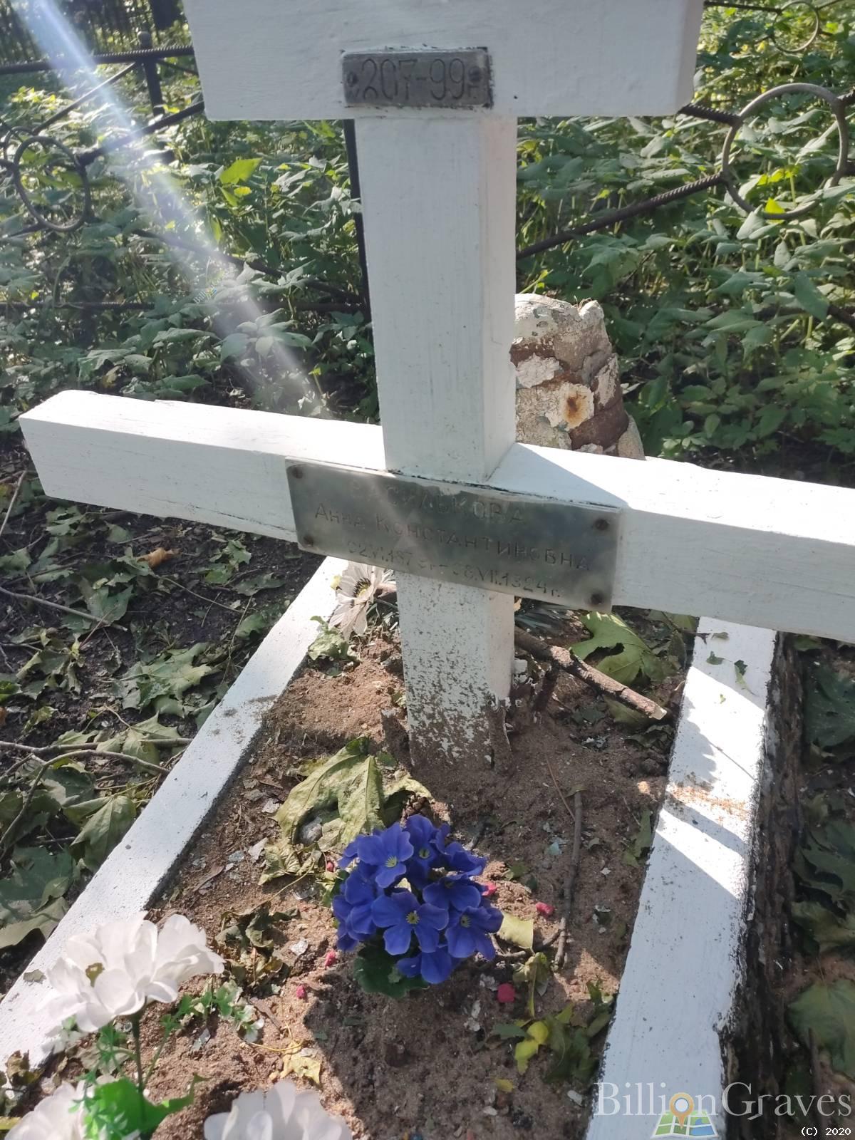Василькова Анна Константиновна