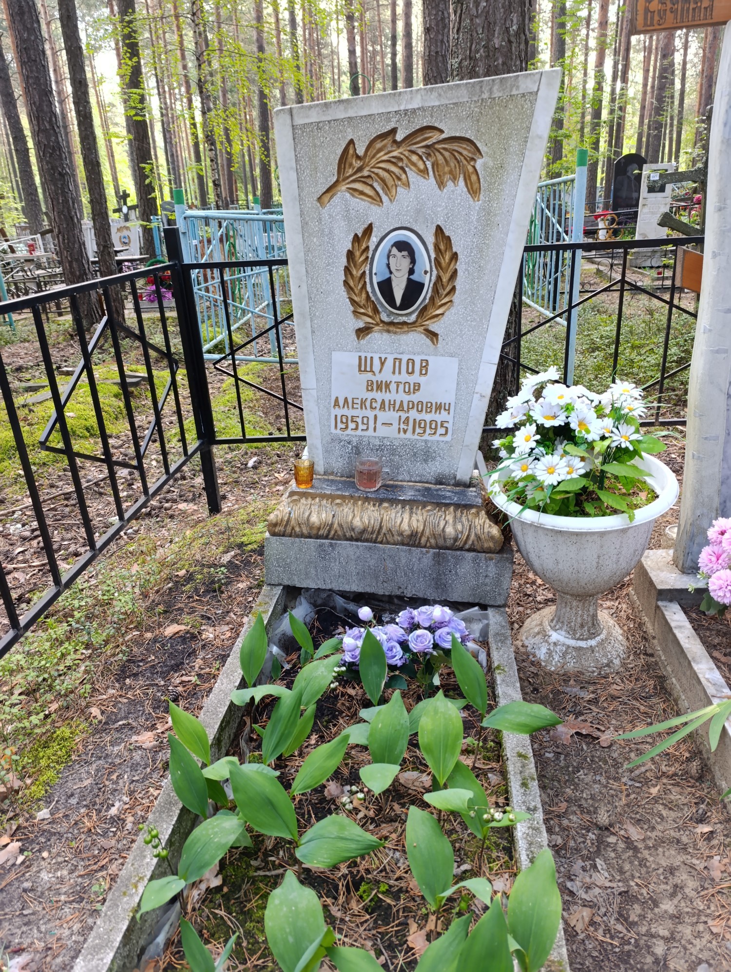 Щупов Виктор Александрович