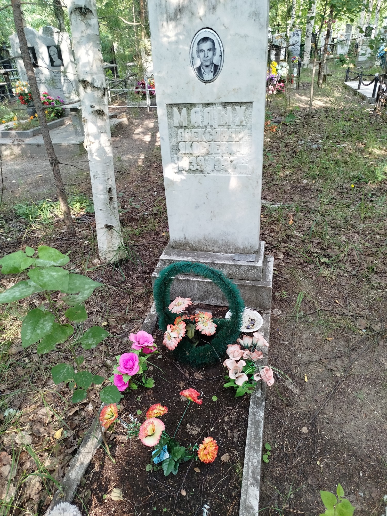 Малых Александр Яковлевич