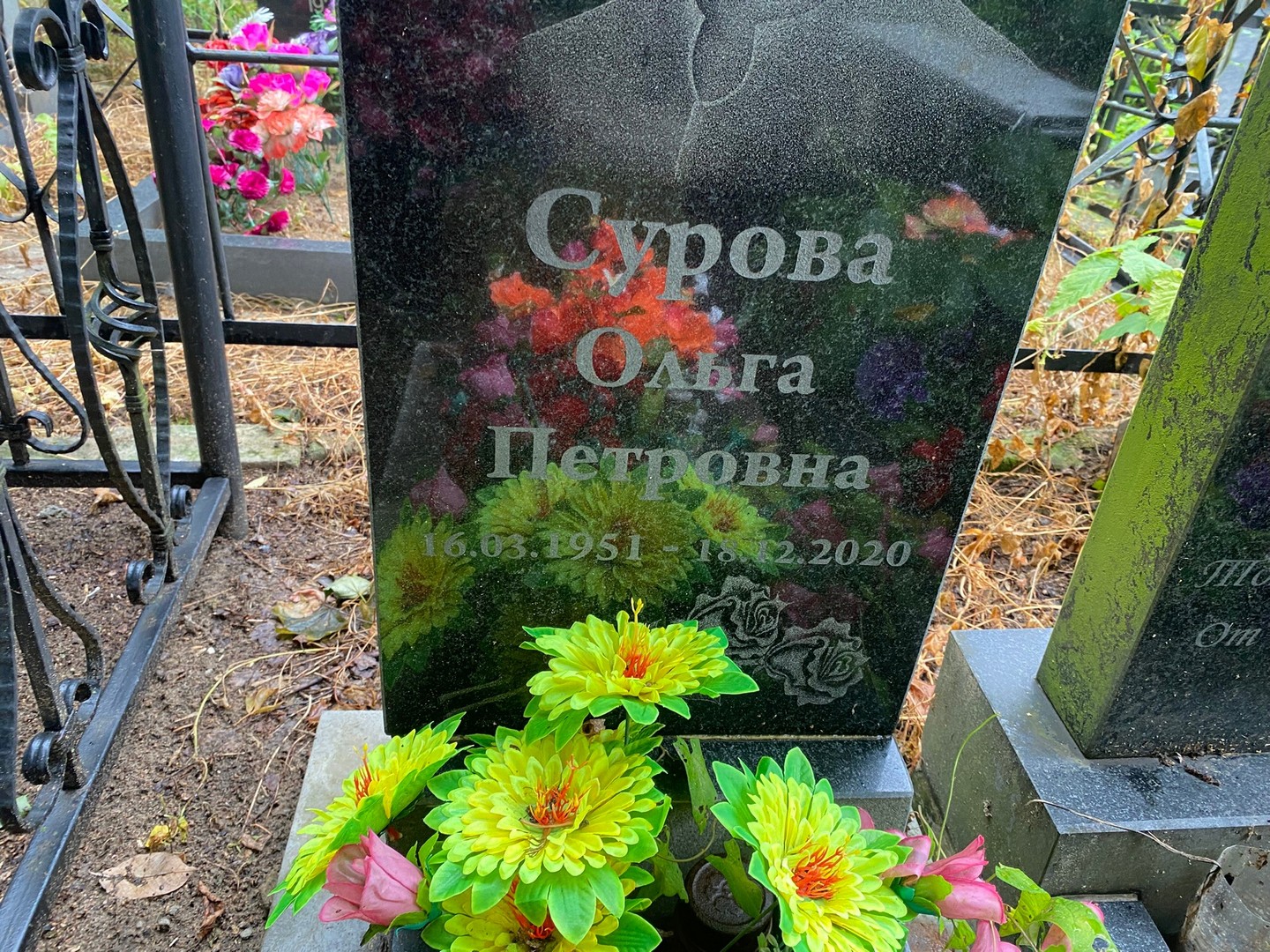 Сурова