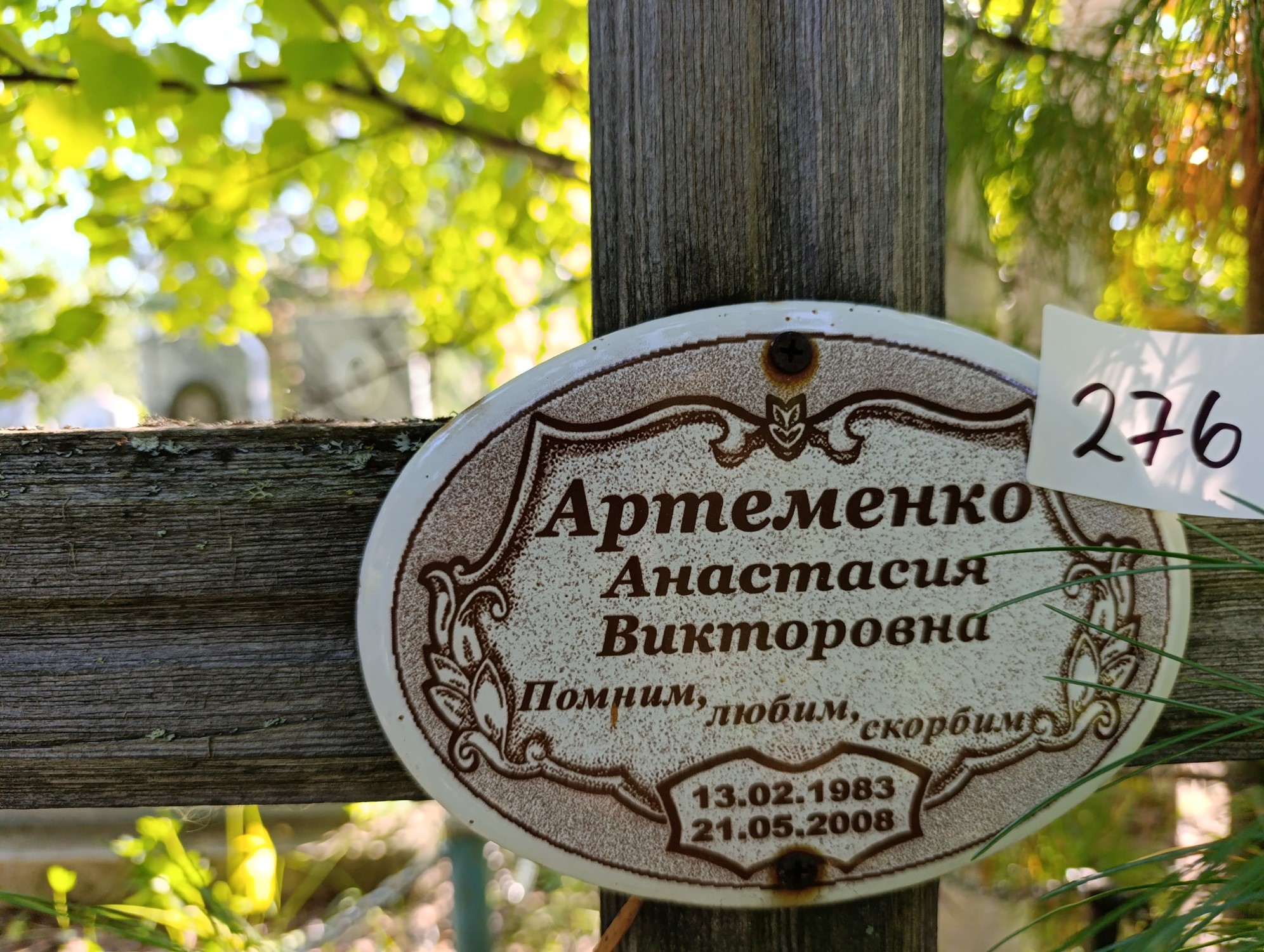 Артеменко Анастасия Викторовна