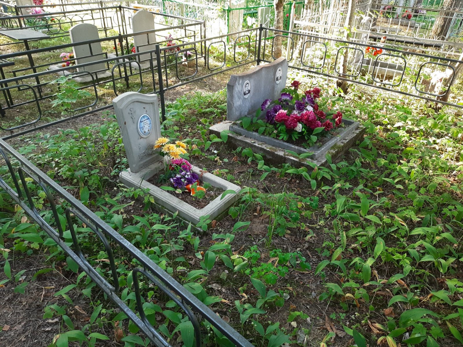 Авдеева Иринья Егоровна