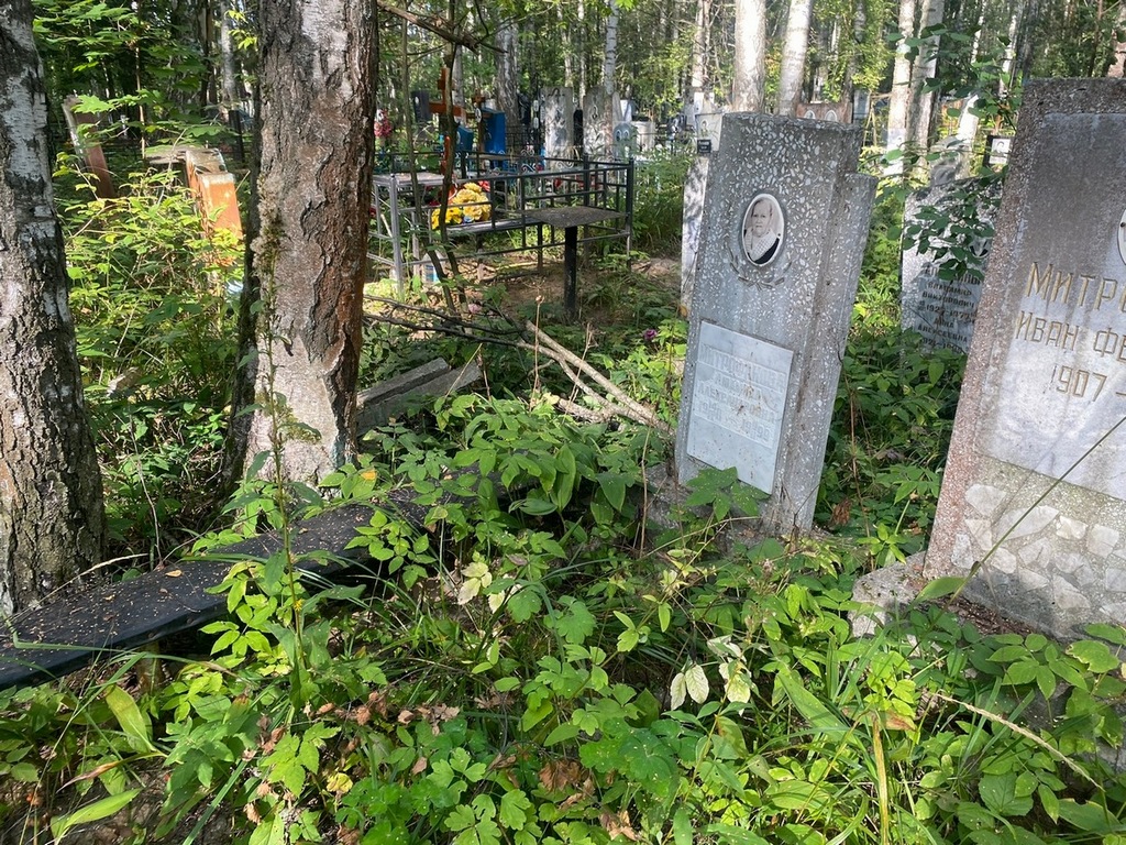 Митрофанова Людмила Александровна