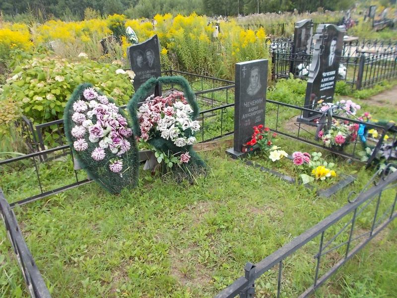 Чеченин Андрей Александрович