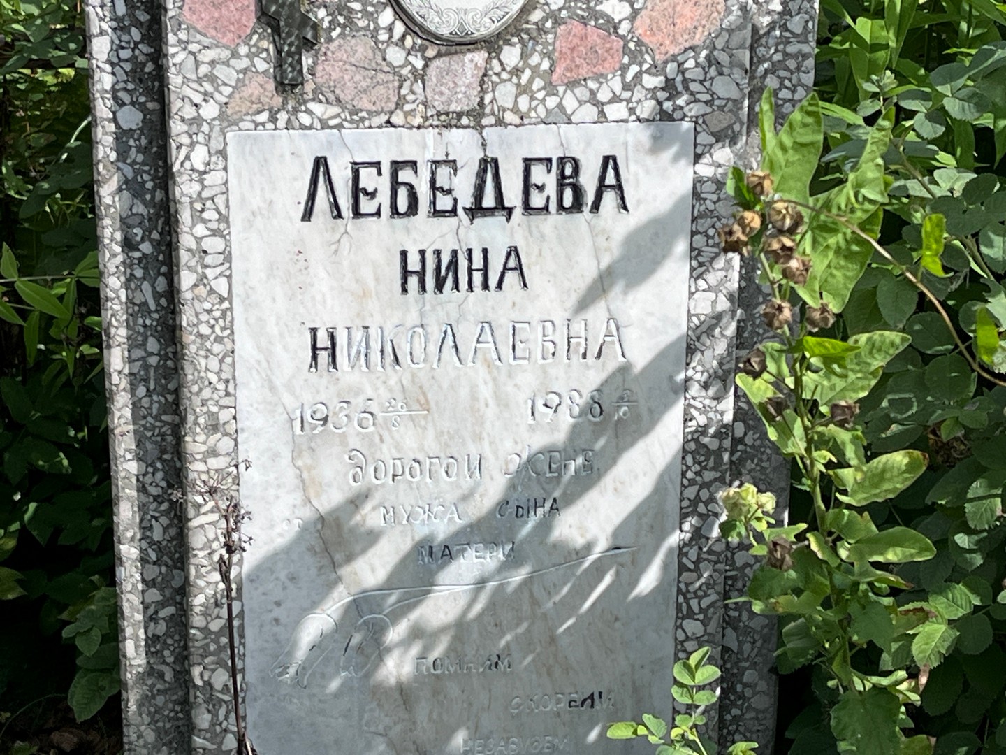 Лебедева