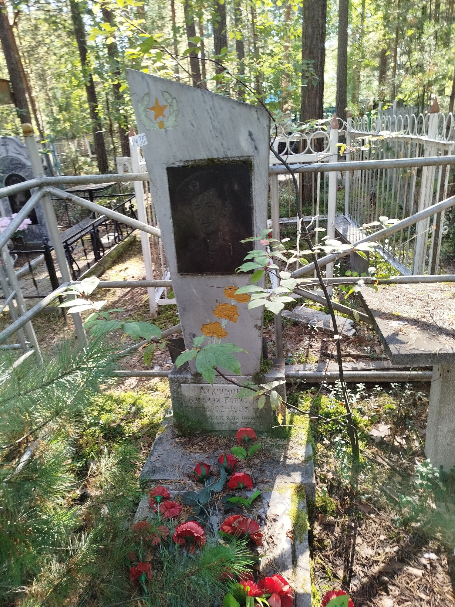 Аукшионис Виталий Борисович