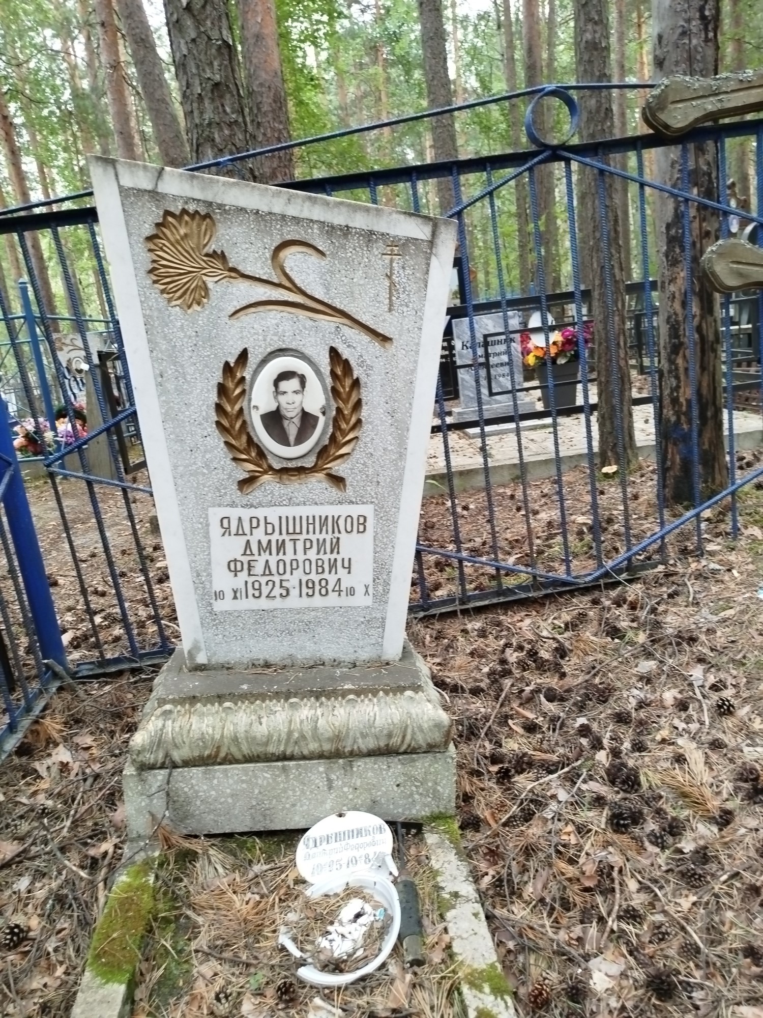 Ядрышников Дмитрий Федорович