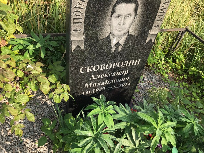 Сковородин