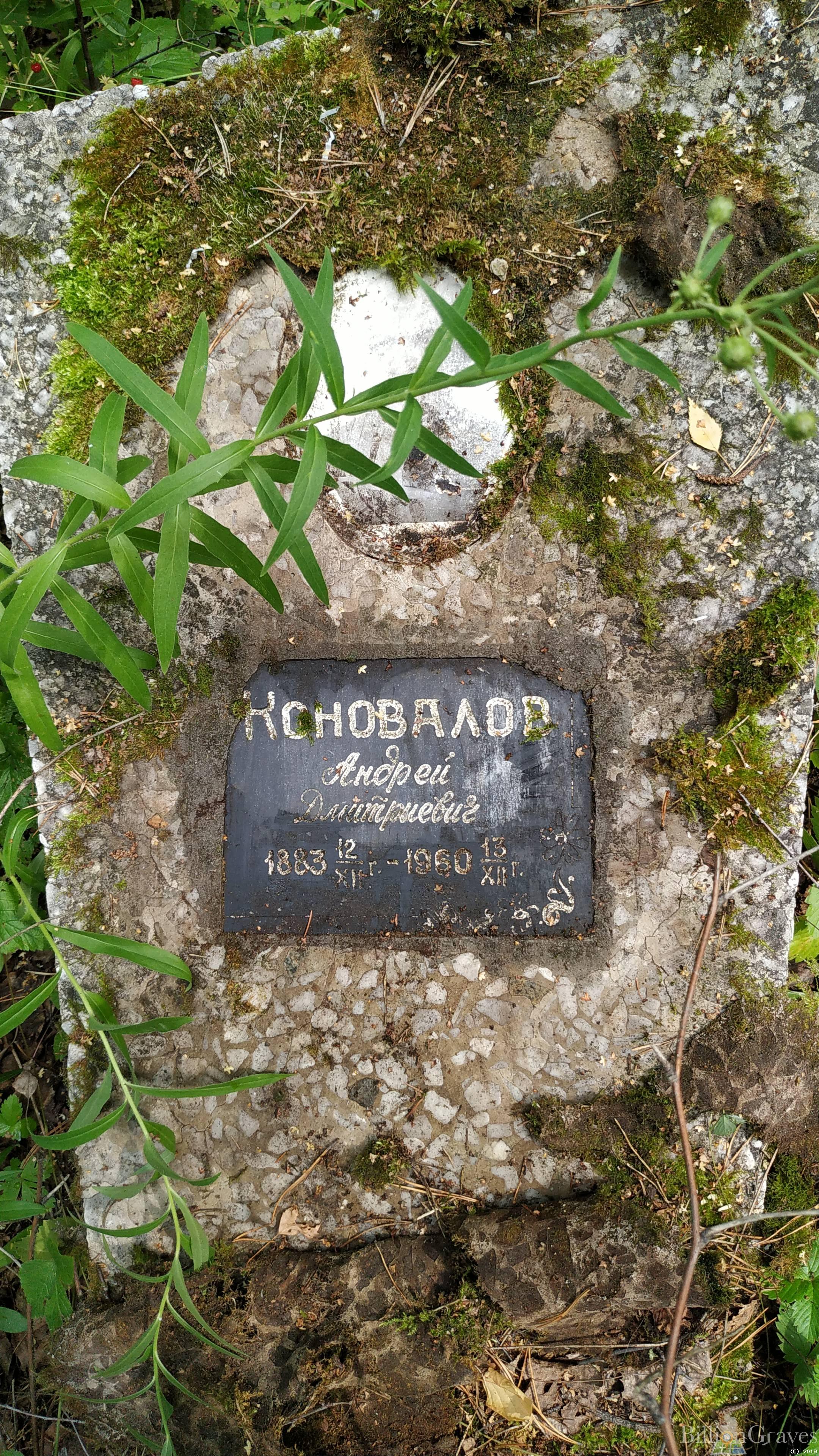 Коновалов Андрей Дмитриевич
