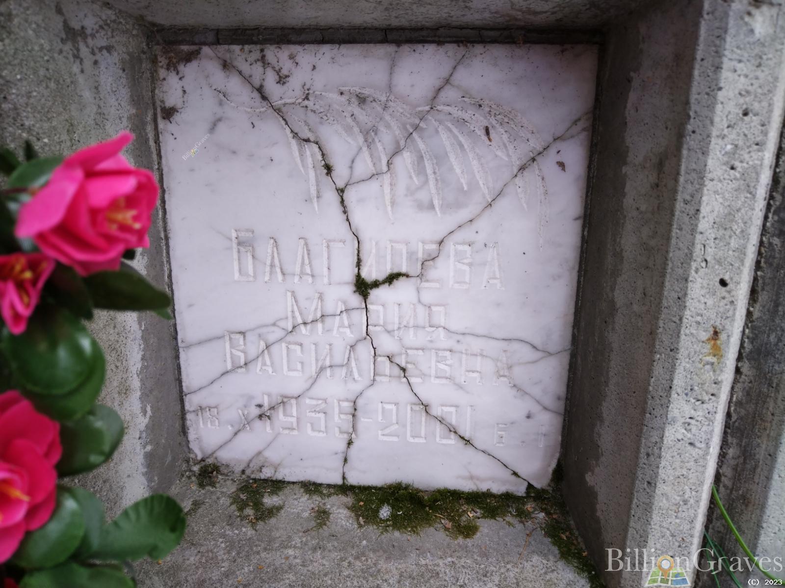Благирева Мария Васильевна