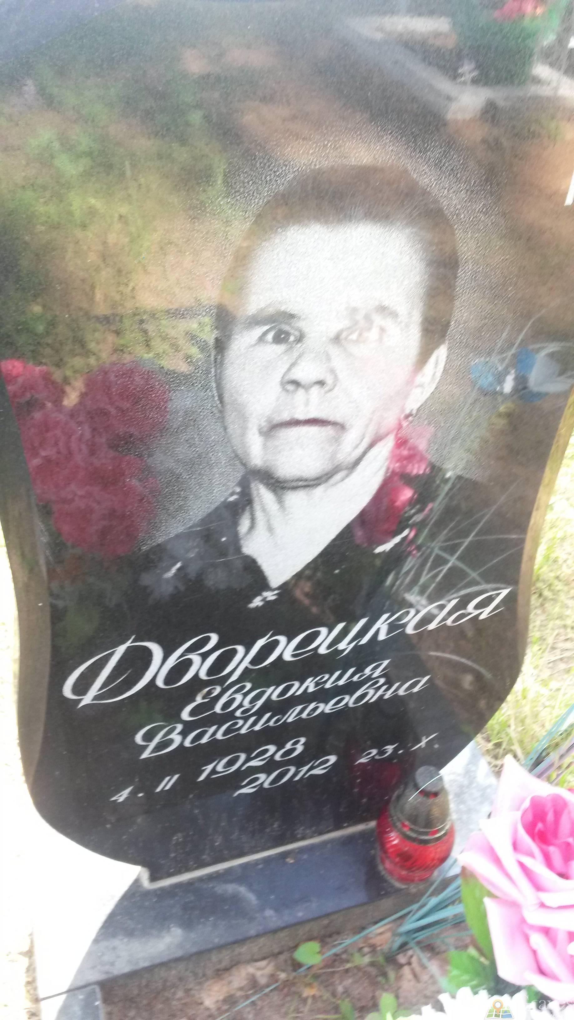 Дворецкий Вова