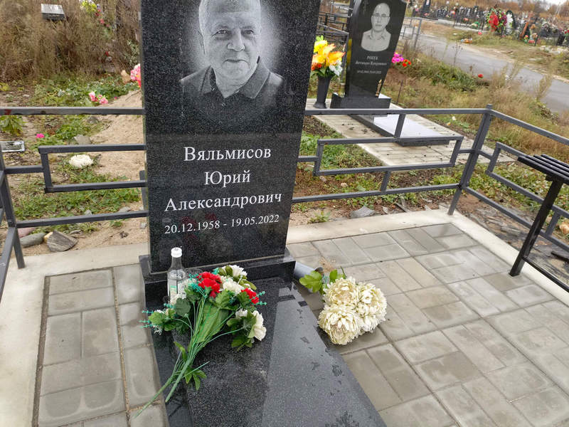 Вяльмисов