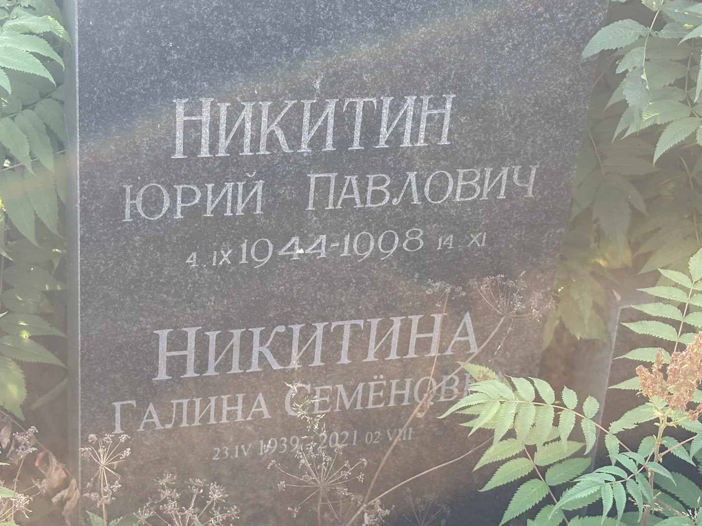 Никитин