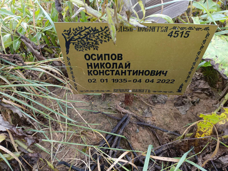 Осипов