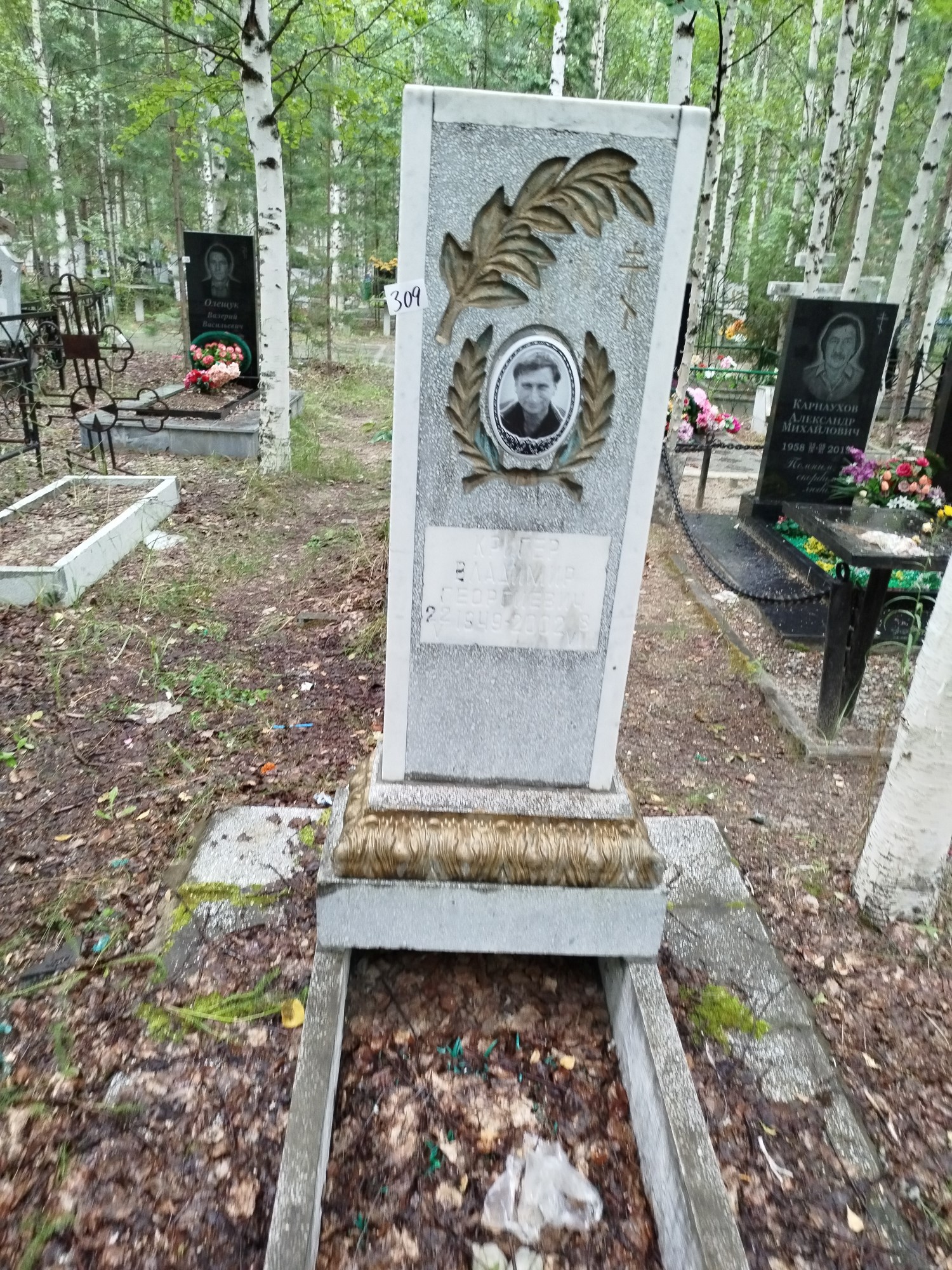 Кригер Владимир Георгиевич