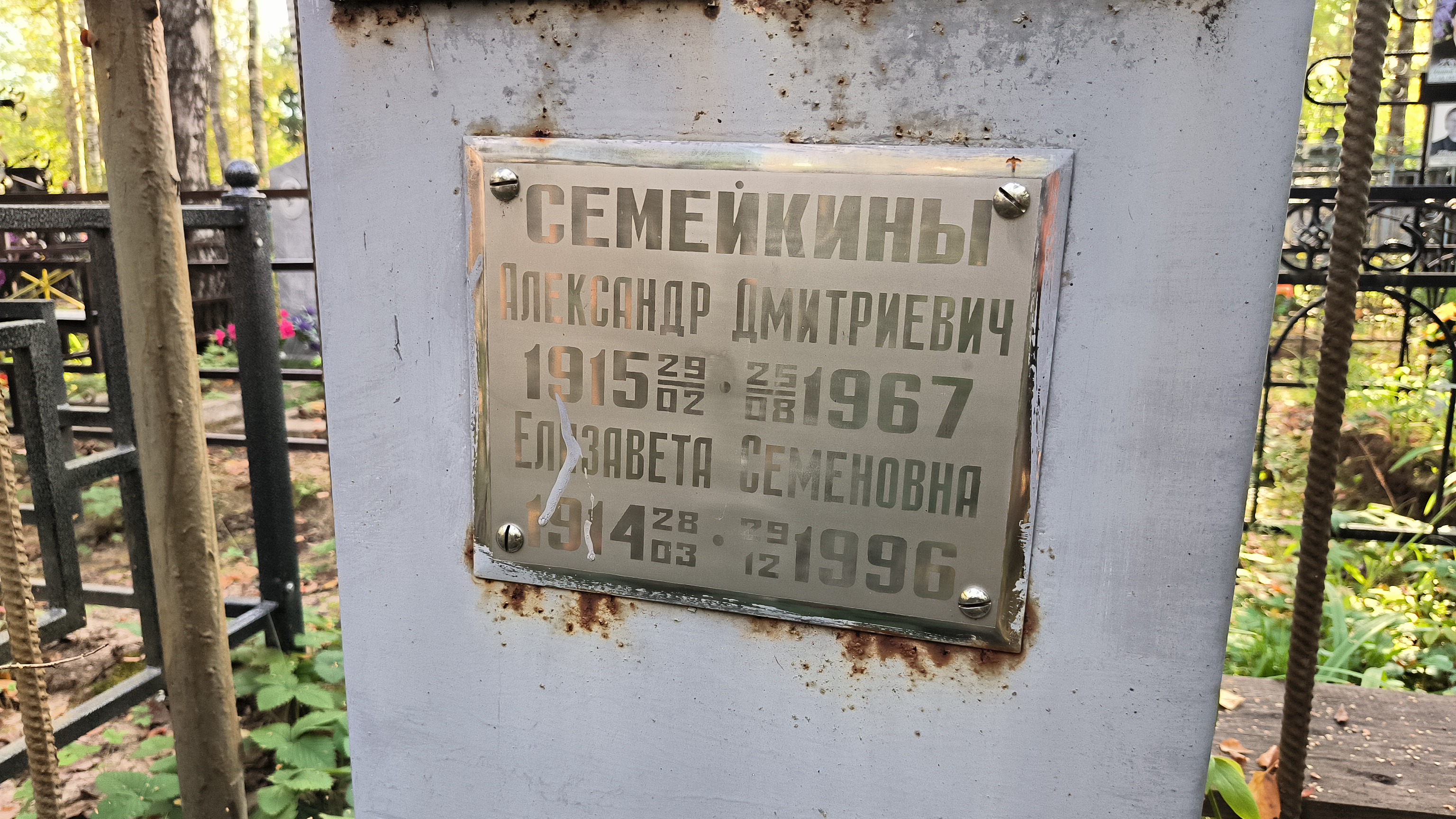 Семейкин Александр Дмитриевич