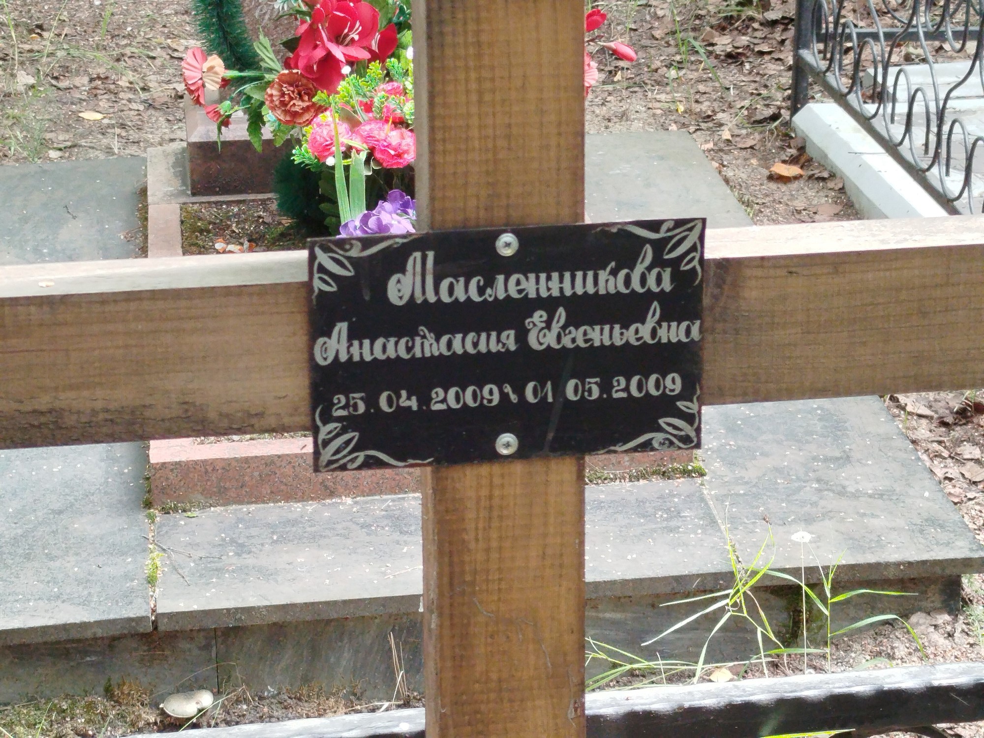 Масленникова Анастасия Евгеньевна