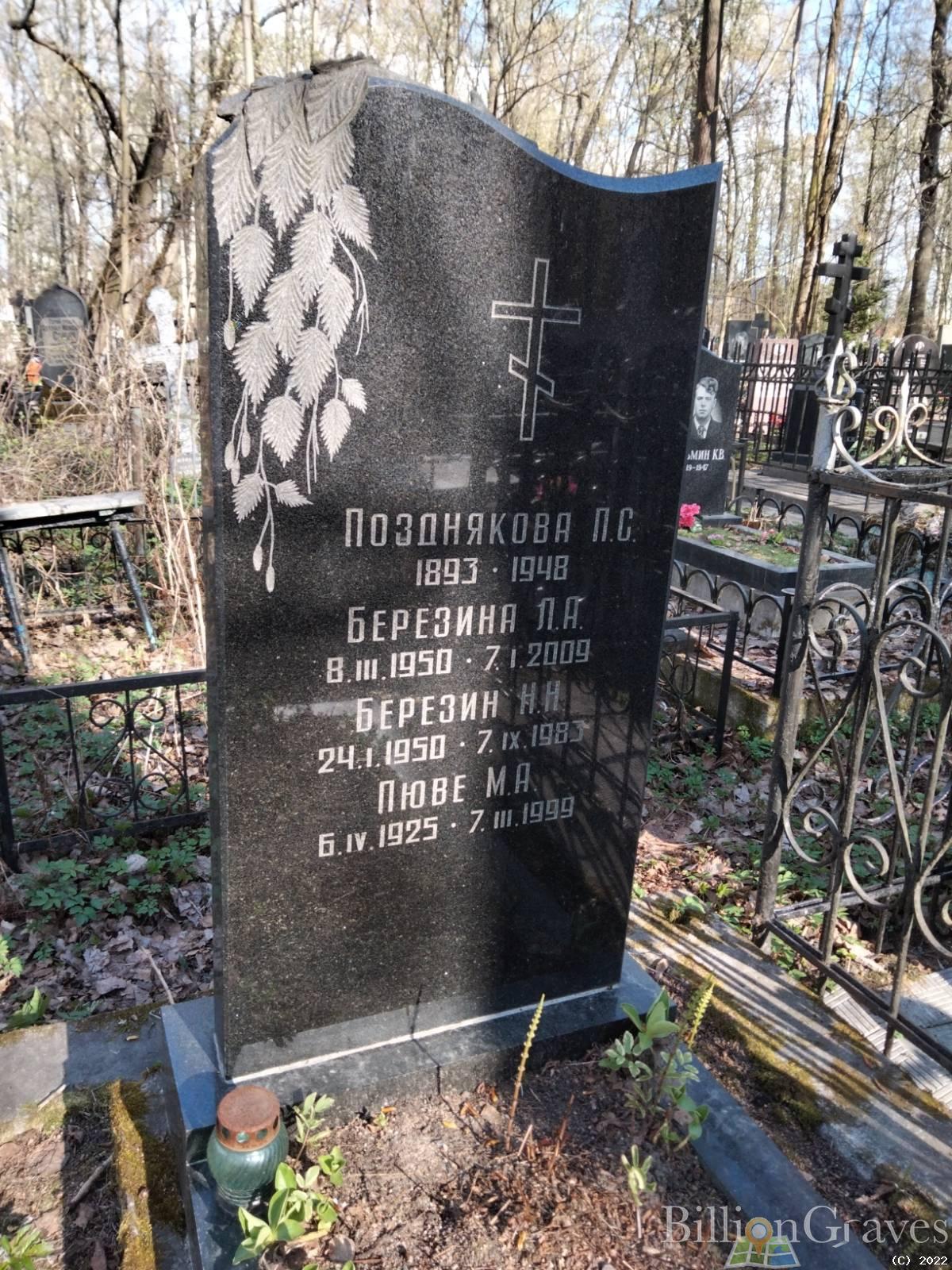 Березин Н. Н.