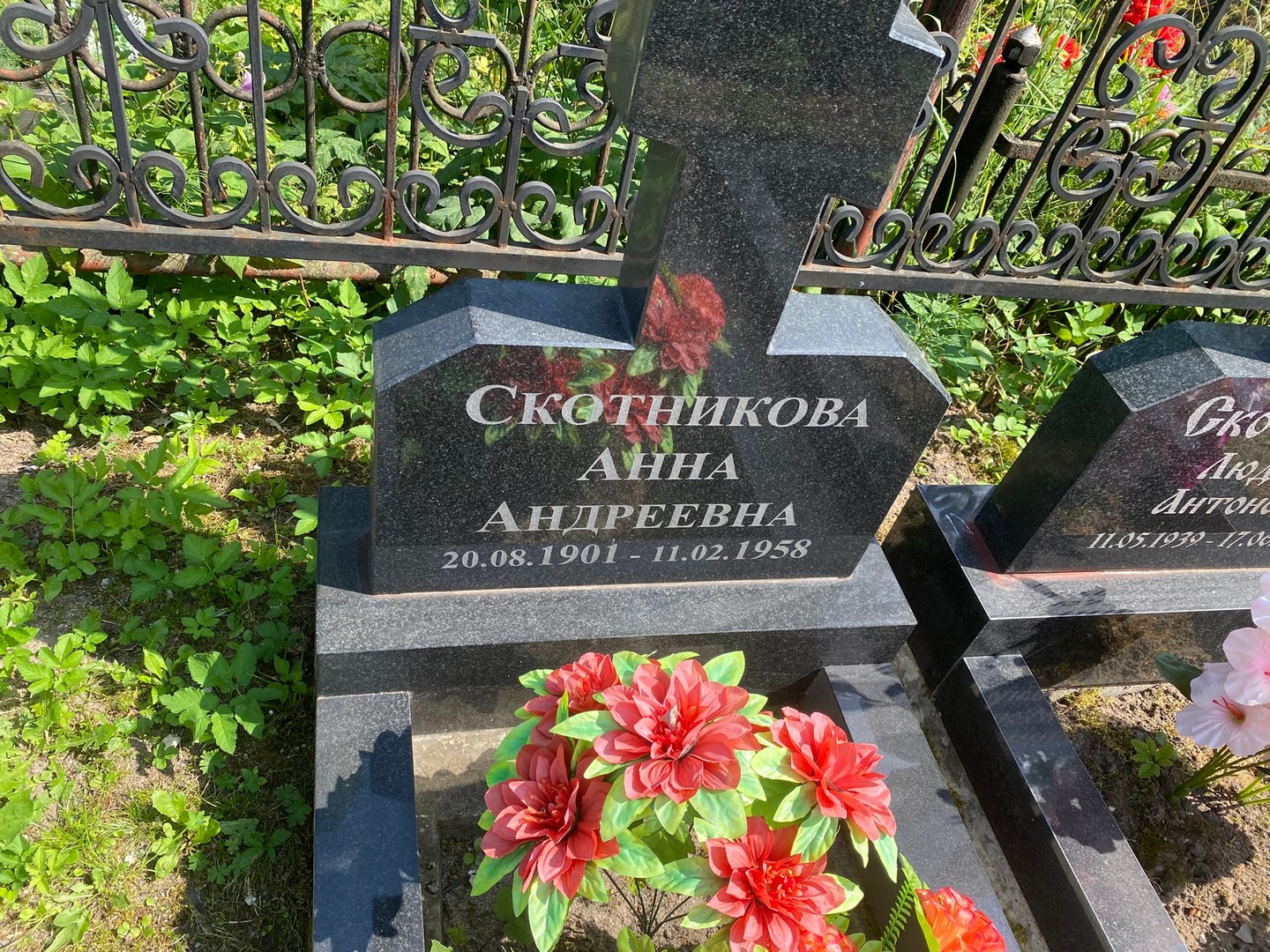 Скотникова
