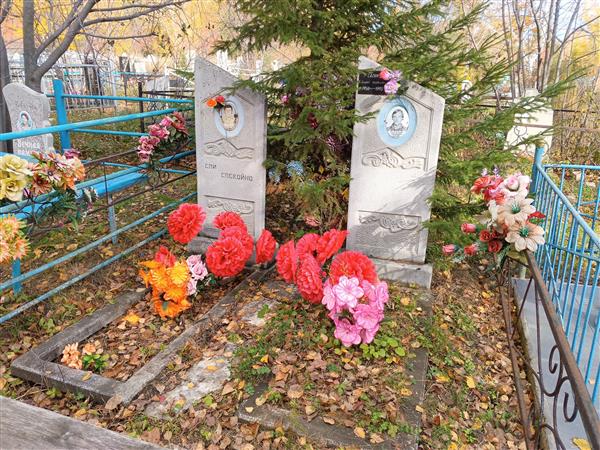 Елгин Валерий Никодинович
