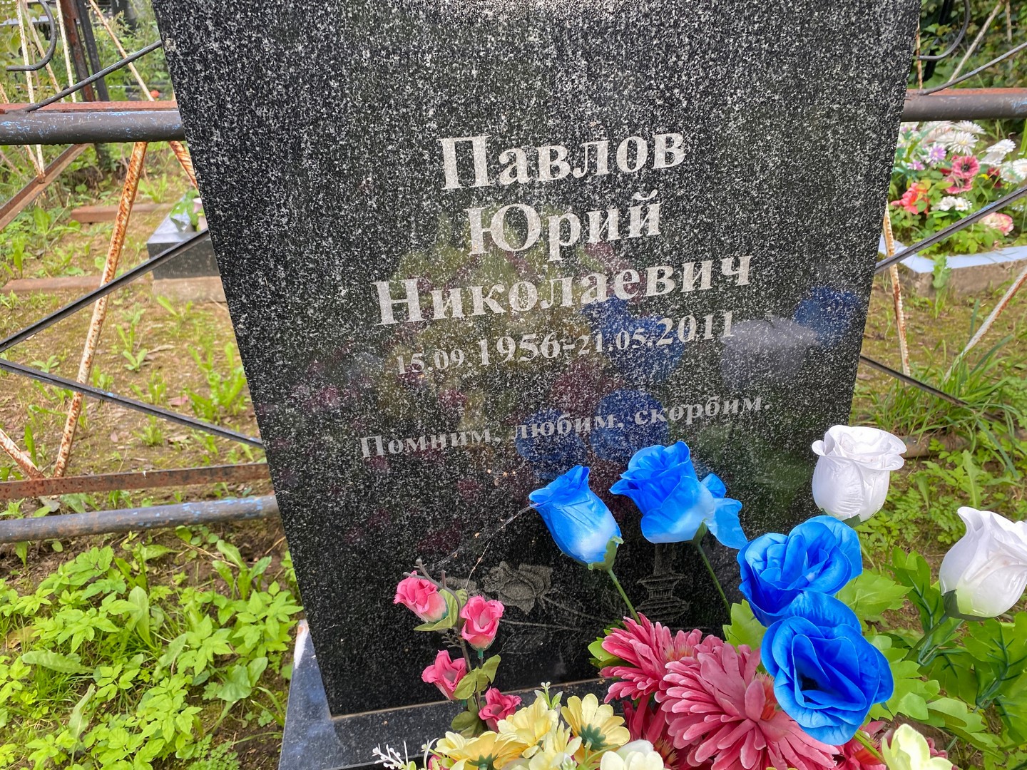 Павлов