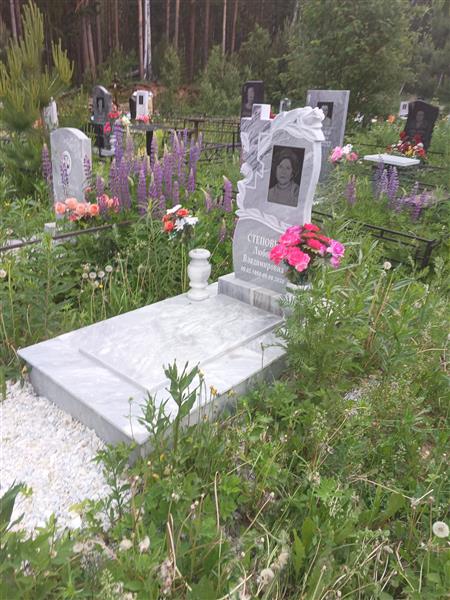 Степовик Любовь Владимировна