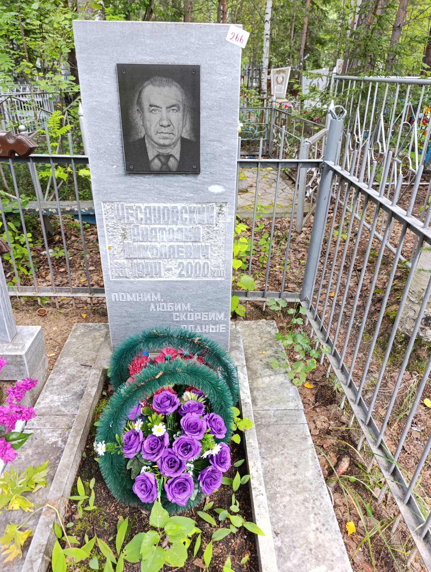 Чесановский Анатолий Николаевич