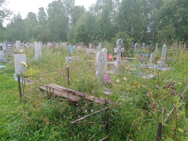 Шайдурова Анна Алексеевна