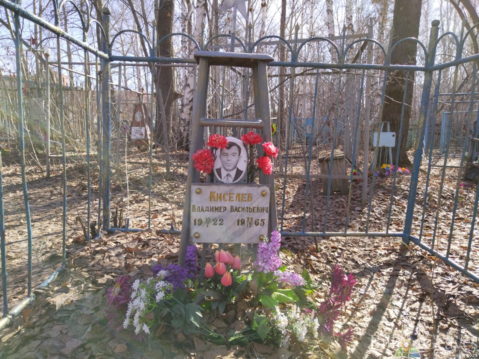Киселев Владимер Васильевич