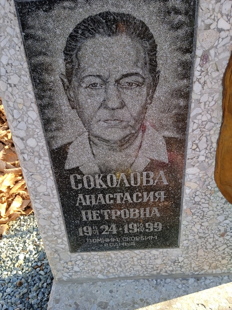 Соколова Анастасия Петровна