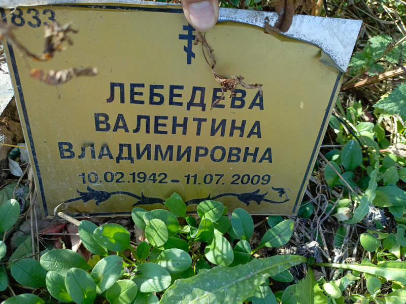 Лебедева