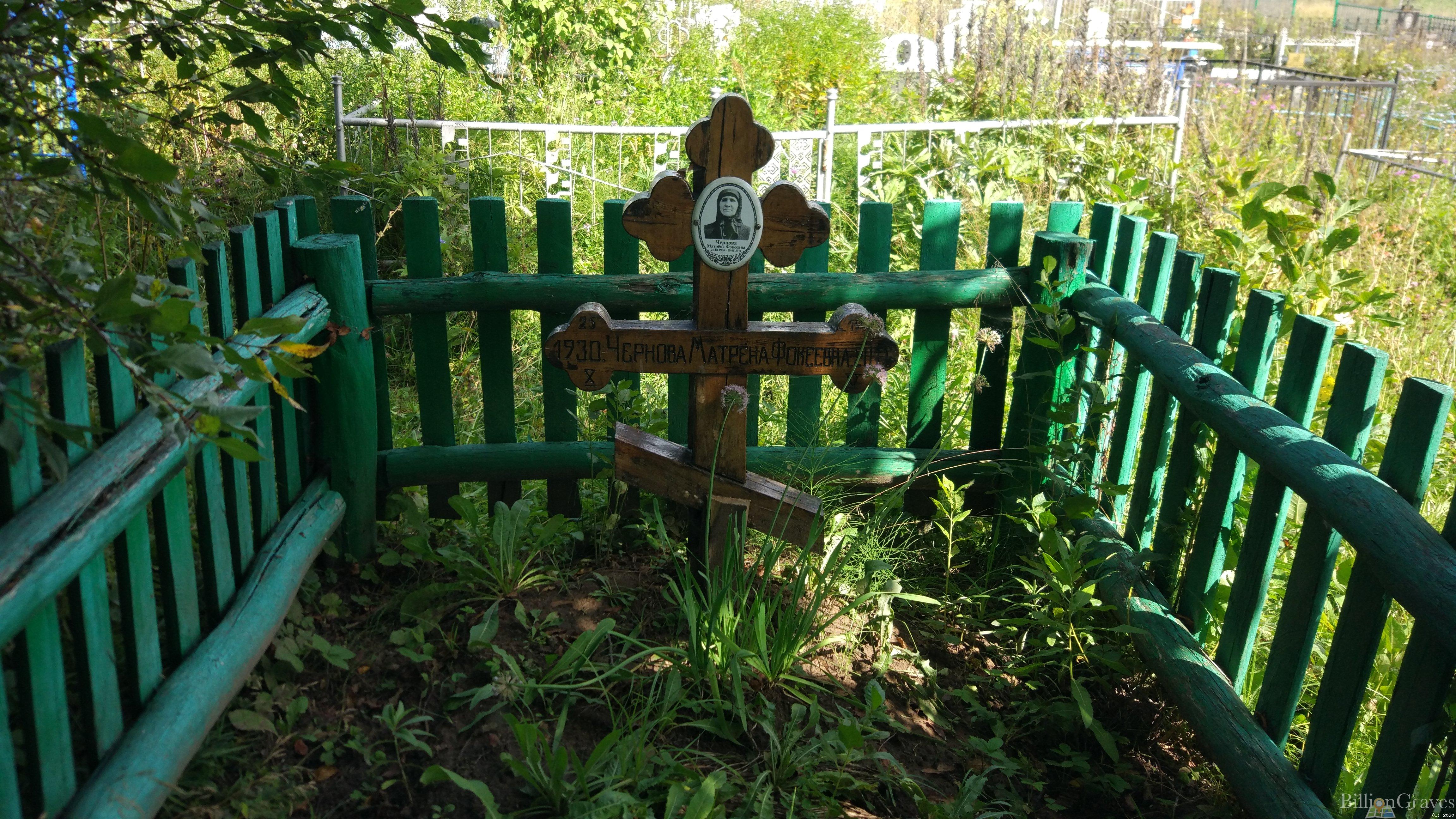 Чернова Матрёна Фокеевна