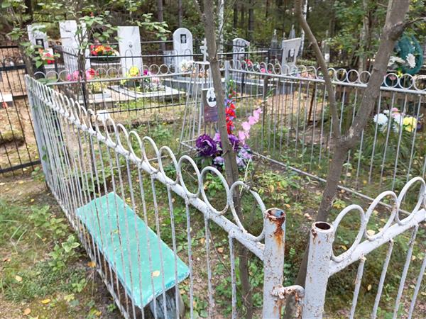 Сидорова Елизавета Александровна