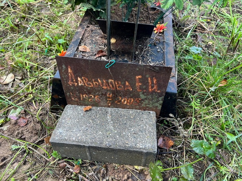 Е. Давыдова Н.
