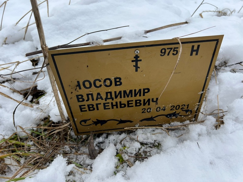 Носов