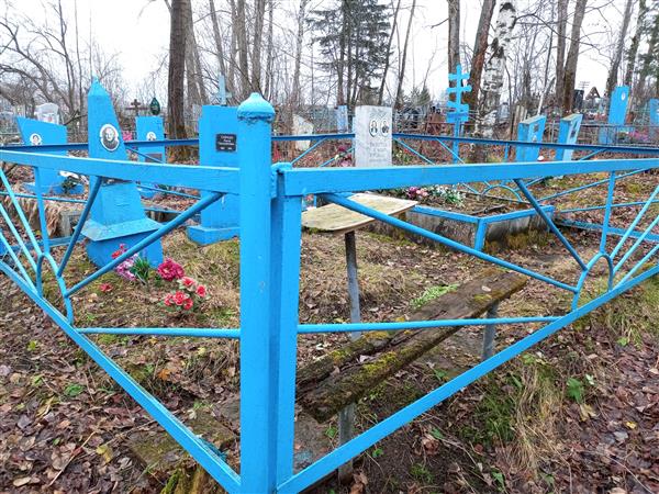 Аксёнова Доминика Алексеевна