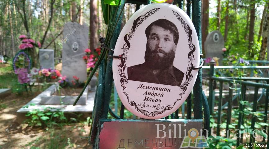 Деменьшин Андрей Ильич