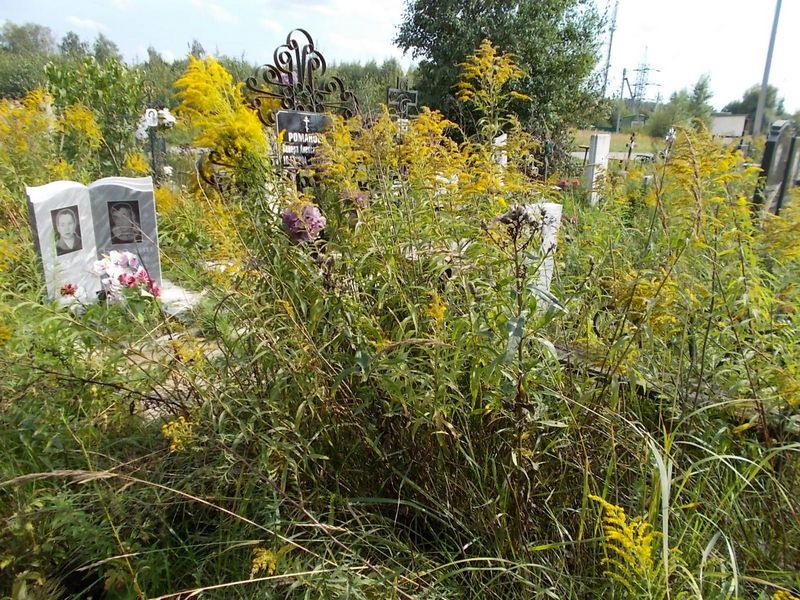 Романова Венера Александровна