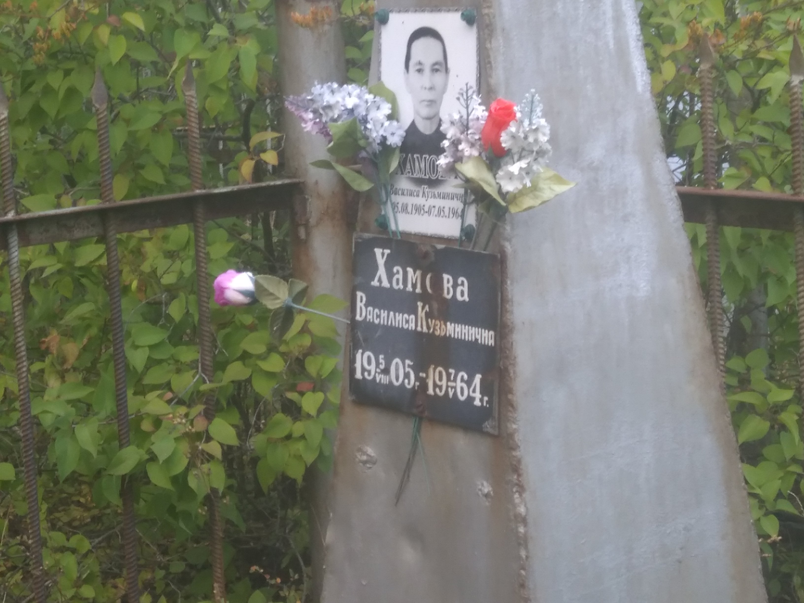 Хамова Василиса Кузьминична