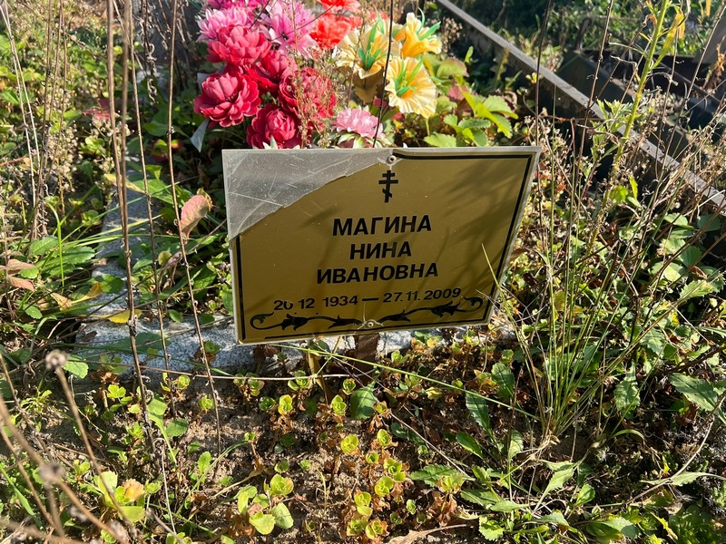 Магина